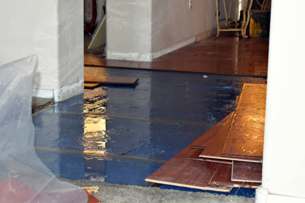 Professional Water Damage Restoration technician working in Leming, TX